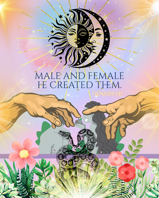 Gender – Male and Female He Created Them (Genesis 1:27)